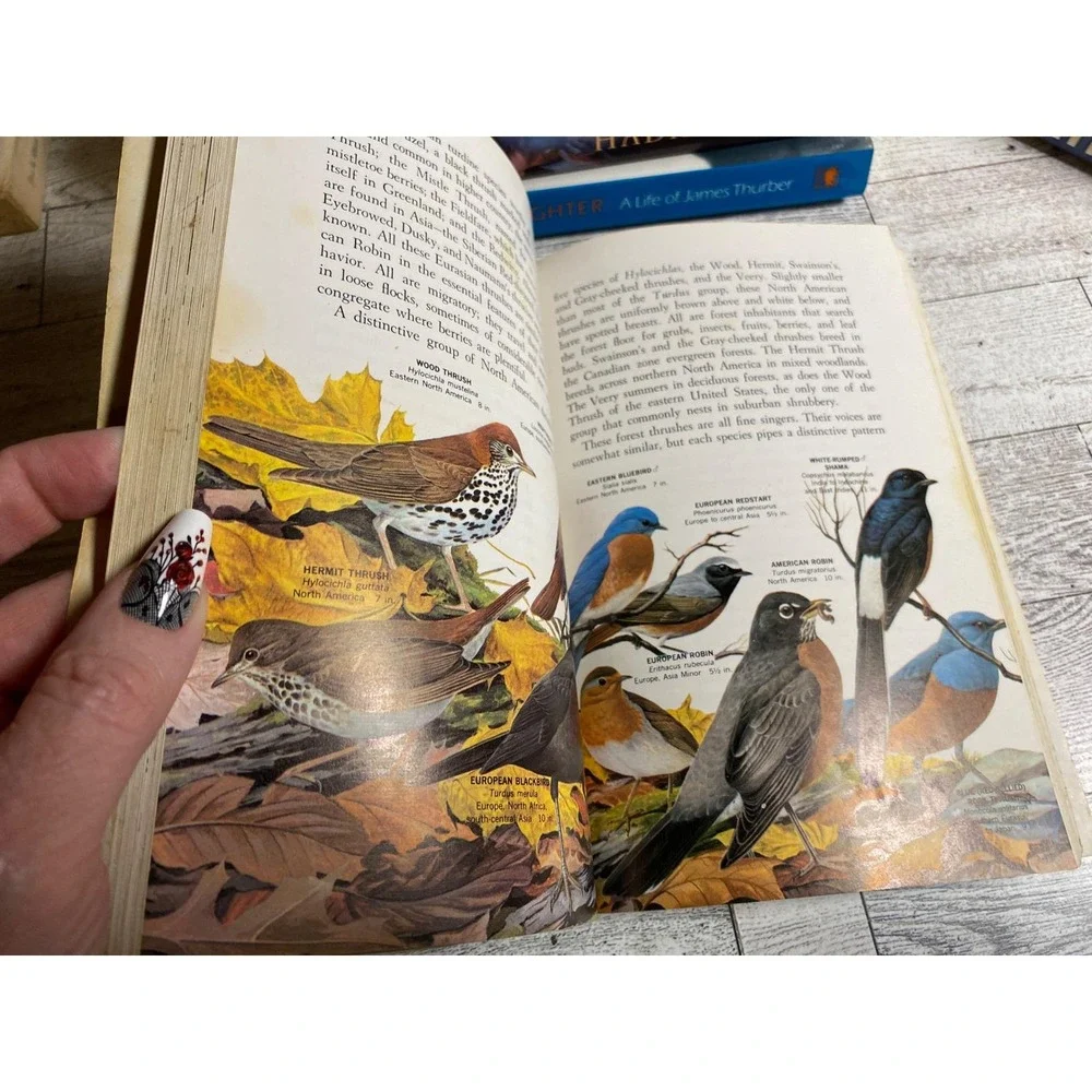 Song‎ Birds of the World Oliver L. Austin Jr. 1967 Illustrated Vintage Paperback